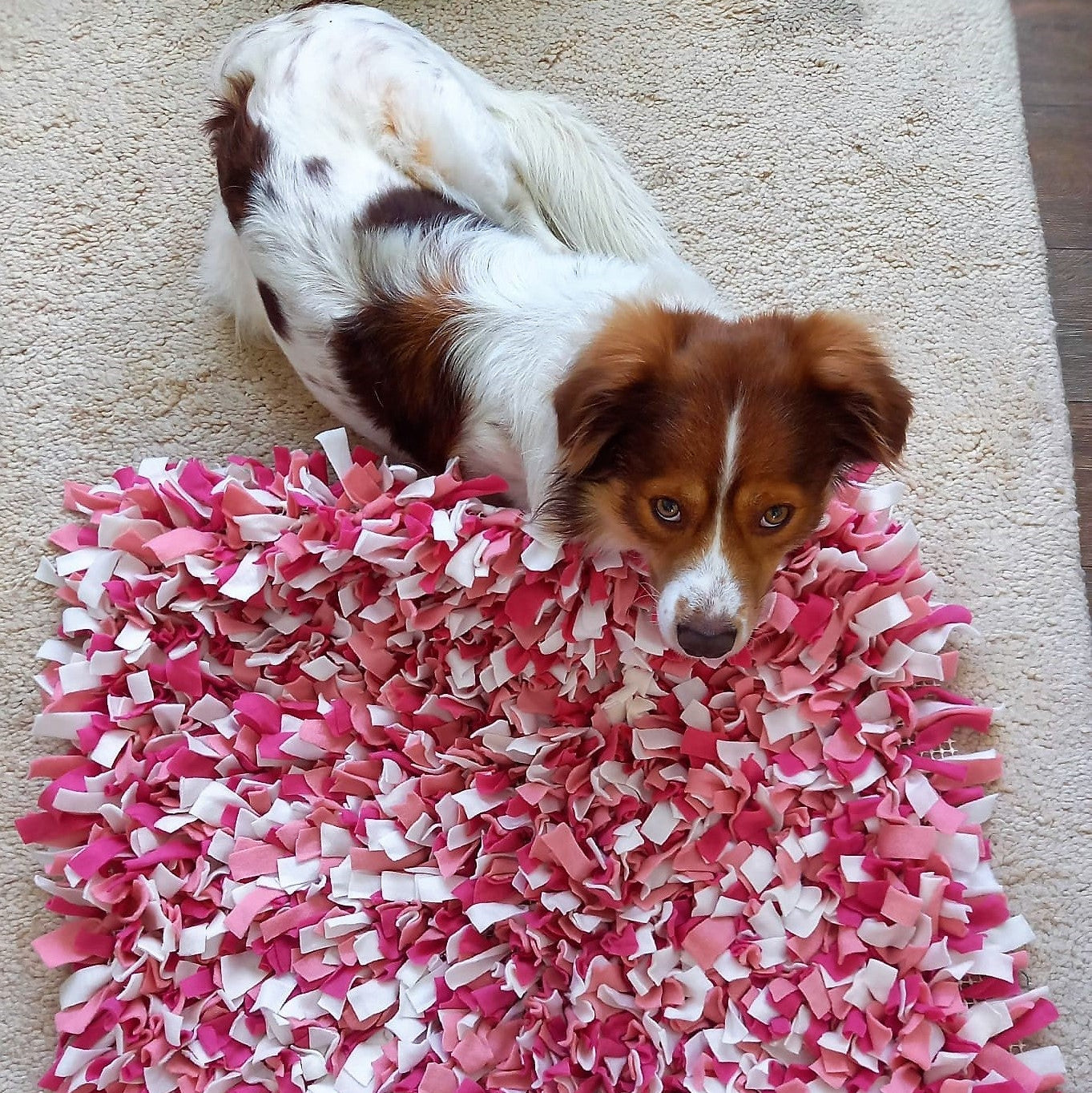 Große Leckerlimatte für große Hunde. Eine Schnüffelmatte lastet aus, macht glücklich und ist eine deale indoor Beschäftigung für Regentage, nach OP, für Senioren oder Welpen.